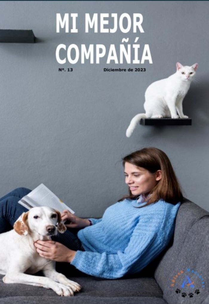revista-mi-mejor-compania
